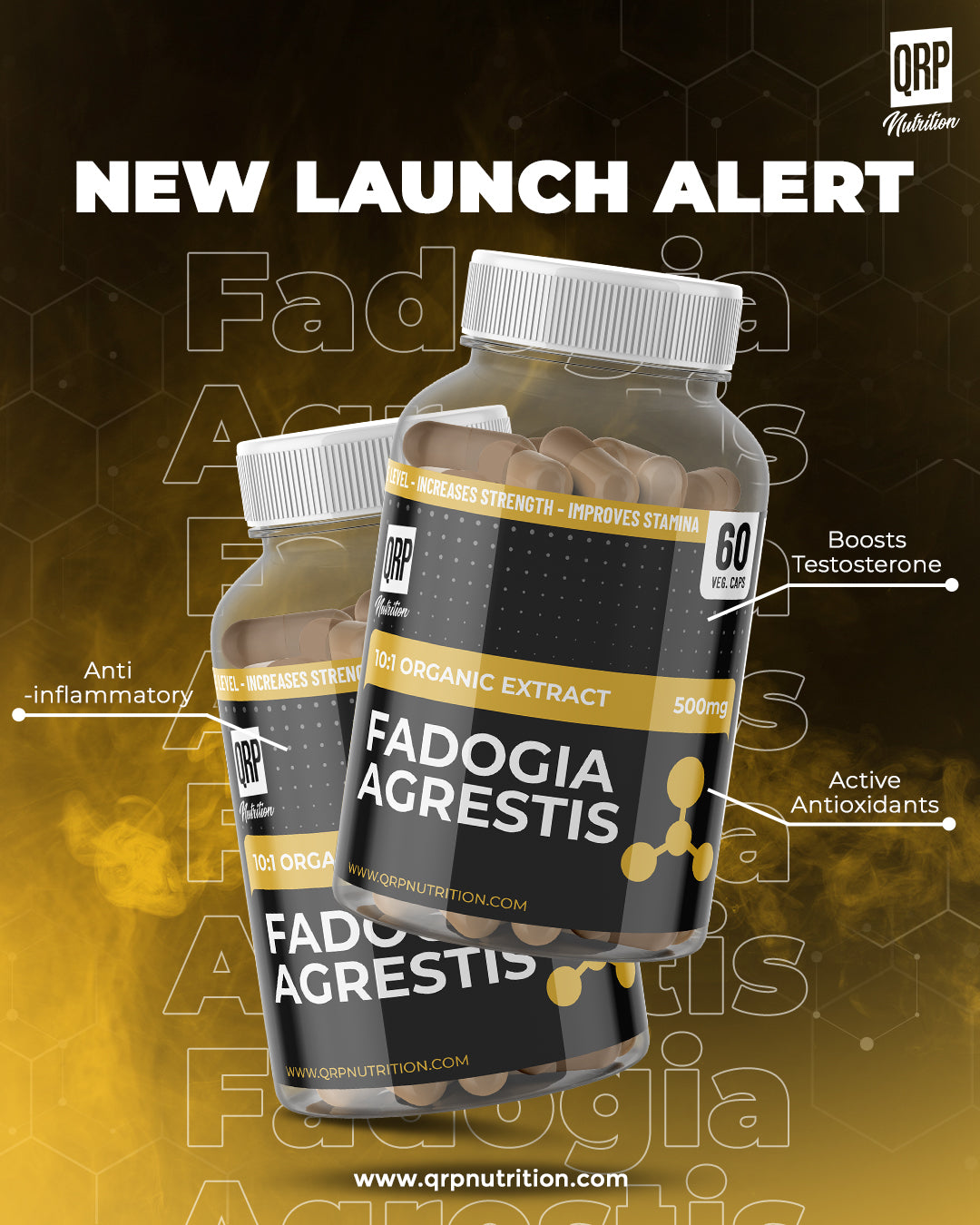 QRP Nutrition Fadogia Agrestis 60 veg.caps image 1